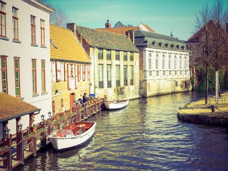 The Last Human CEO - Part 1: The CEO's Last Stand