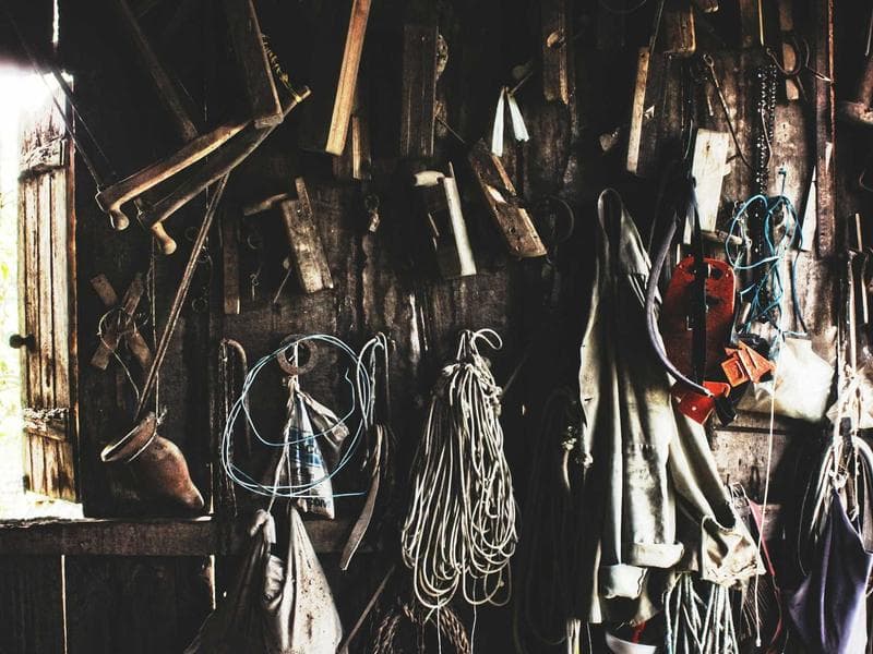 The Last Human CEO - Part 2: The Business of Humanity