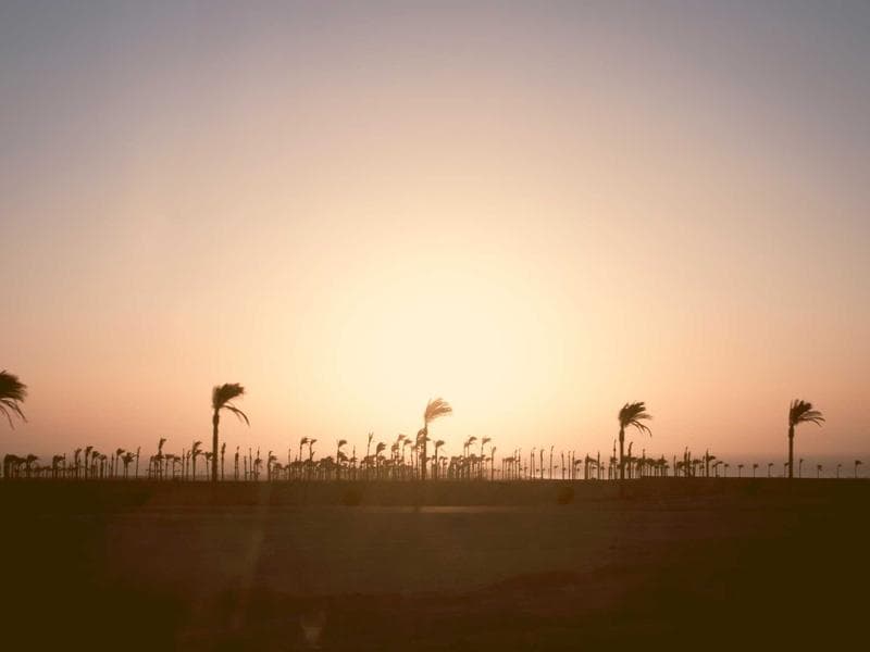 Real-Time Observational Data