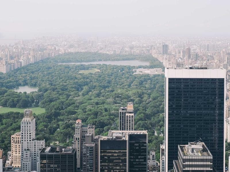 The Prompt is the Payload