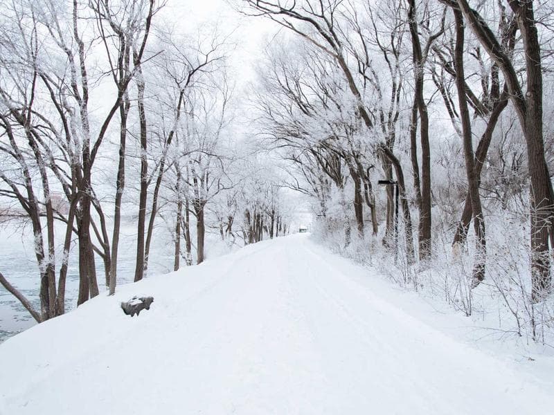 Kuki AI: Chatbot Beats Facebook on Two-Week 'Date'